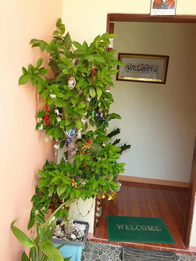 Ivana R&E Bed & Breakfast מראה חיצוני תמונה